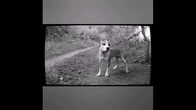 Порнуха №123938 - 2pornuha.com