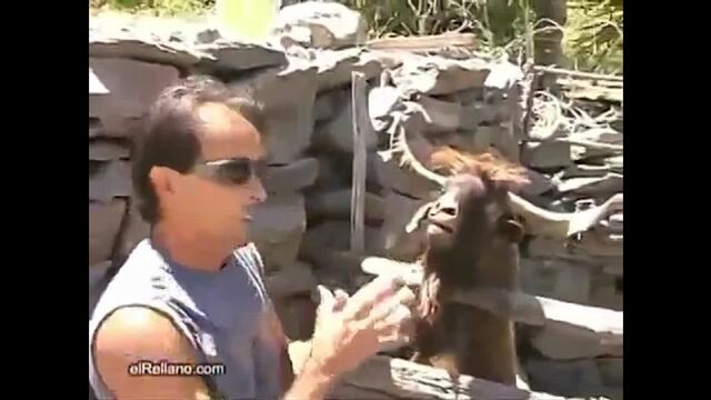 Порнуха №234272 - 2pornuha.com