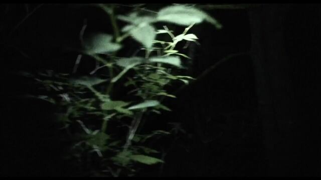 Порнуха №38703 - 2pornuha.com