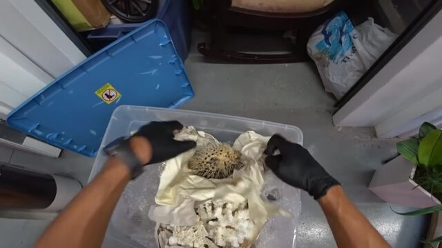 Порнуха №43437 - 2pornuha.com