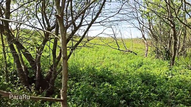 Порнуха №406081 - 2pornuha.com