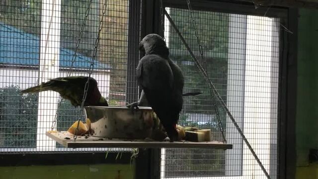 Порнуха №79874 - 2pornuha.com