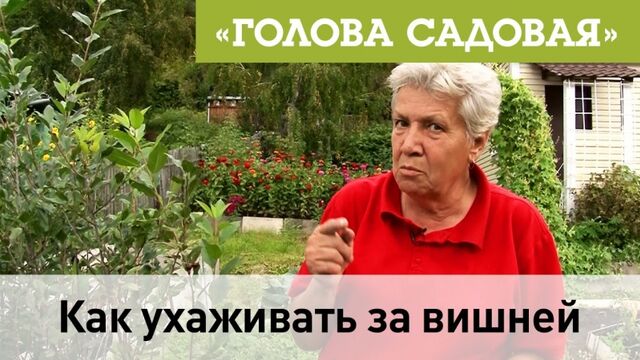 Порнуха №23840 - 2pornuha.com