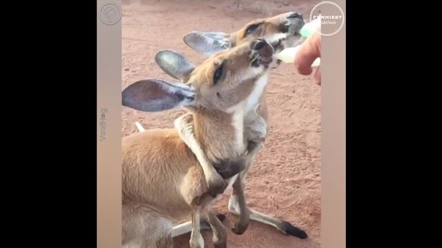 Порнуха №12968 - 2pornuha.com