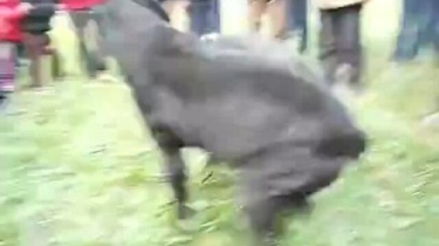 Порнуха №26748 - 2pornuha.com