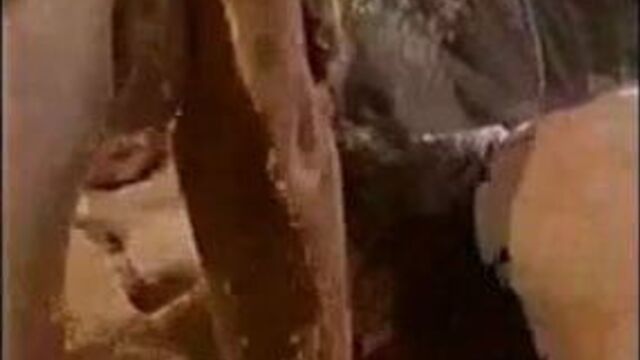 Порнуха №182575 - 2pornuha.com