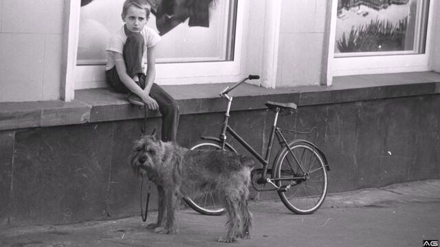 Порнуха №21930 - 2pornuha.com