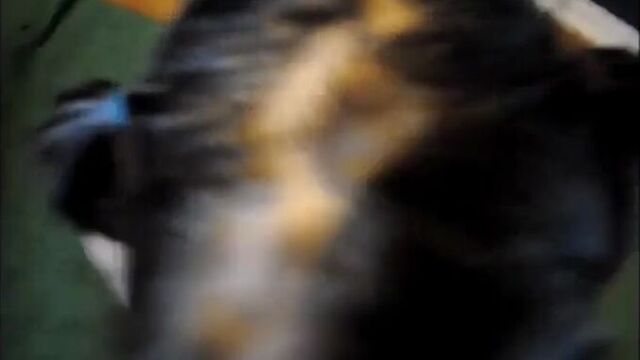 Порнуха №455407 - 2pornuha.com