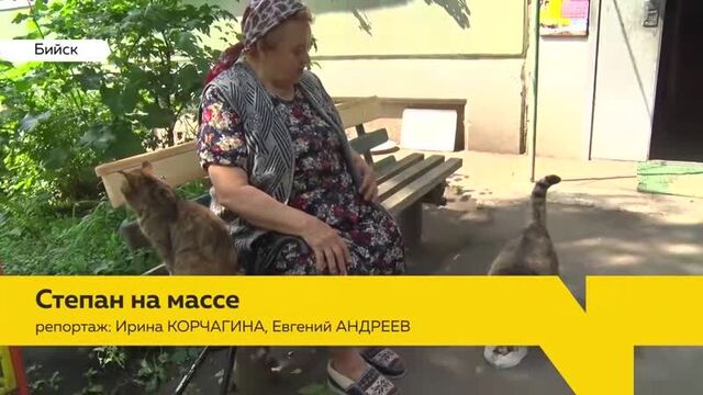 Порнуха №228156 - 2pornuha.com