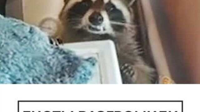 Порнуха №166855 - 2pornuha.com