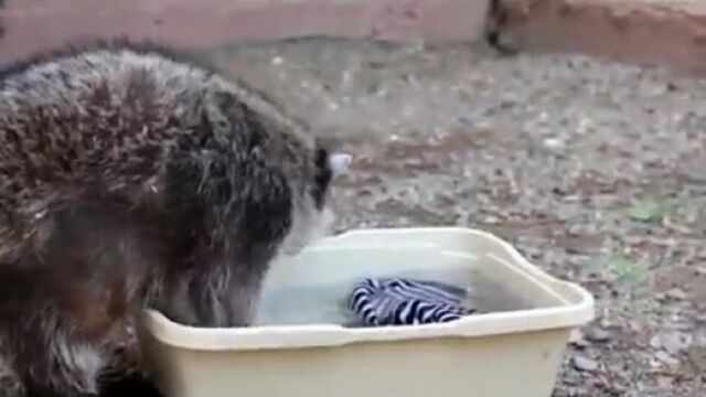 Порнуха №94887 - 2pornuha.com