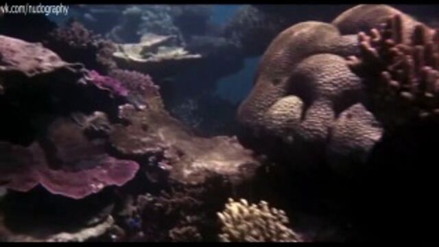 Порнуха №31929 - 2pornuha.com