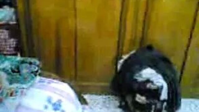 Порнуха №363458 - 2pornuha.com