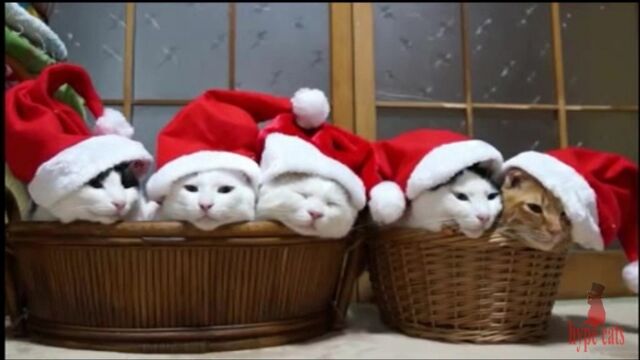 Порнуха №29550 - 2pornuha.com