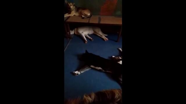 Порнуха №103279 - 2pornuha.com