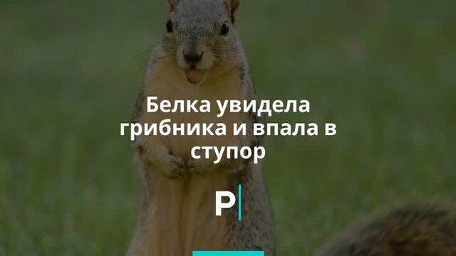 Порнуха №98220 - 2pornuha.com