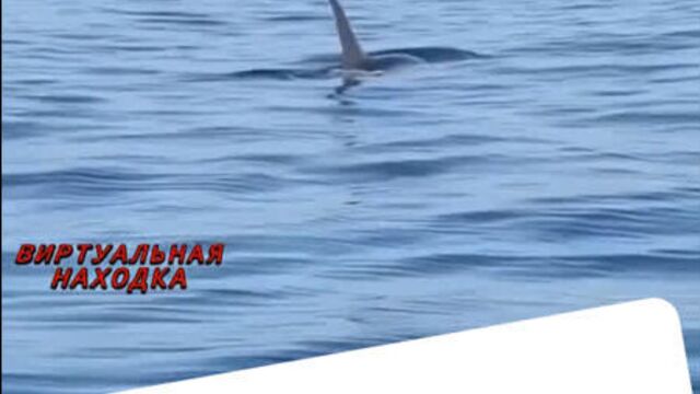 Порнуха №342790 - 2pornuha.com