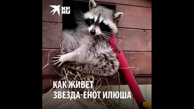 Порнуха №87814 - 2pornuha.com