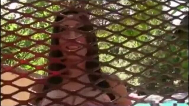 Порнуха №410603 - 2pornuha.com