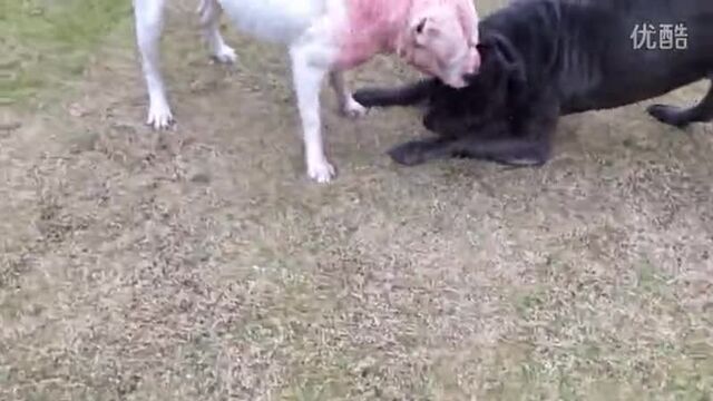 Порнуха №129183 - 2pornuha.com