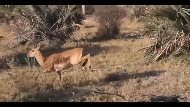 Порнуха №16811 - 2pornuha.com