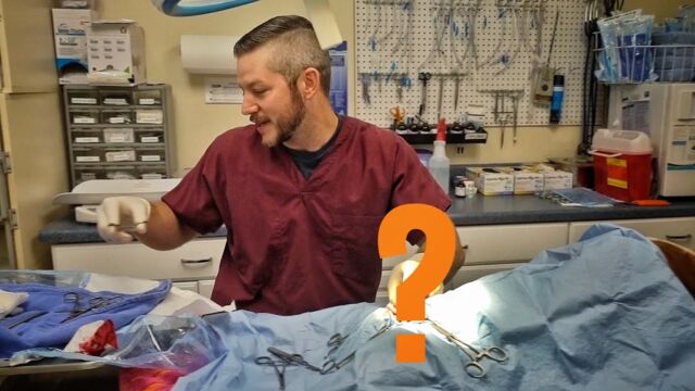 Порнуха №22945 - 2pornuha.com