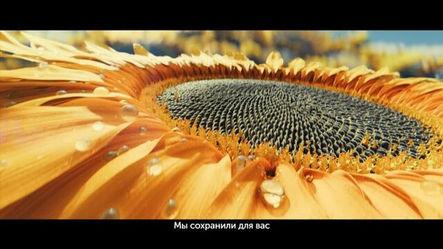 Порнуха №205647 - 2pornuha.com