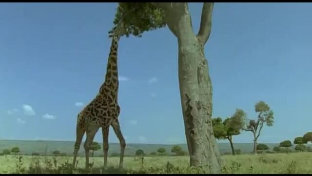 Порнуха №11128 - 2pornuha.com