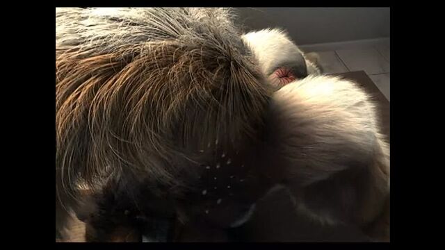 Порнуха №1897 - 2pornuha.com