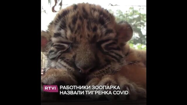 Порнуха №5854 - 2pornuha.com