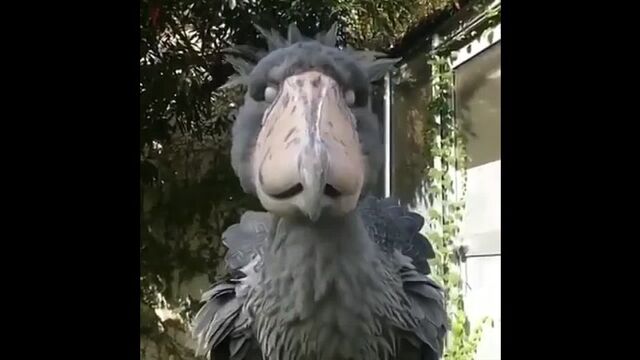 Порнуха №9952 - 2pornuha.com