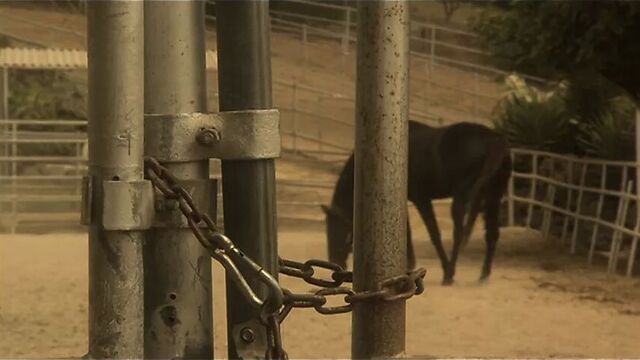 Порнуха №435563 - 2pornuha.com