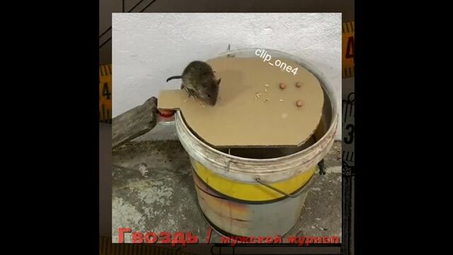 Порнуха №293534 - 2pornuha.com