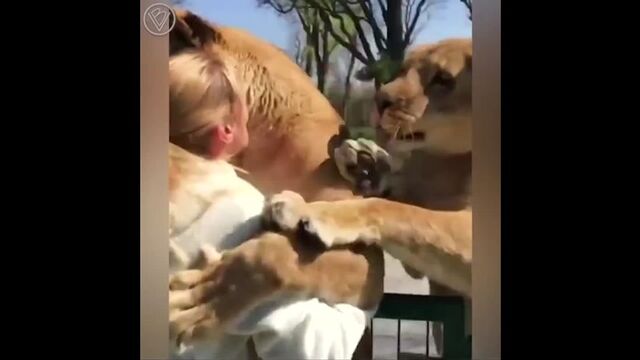 Порнуха №8211 - 2pornuha.com