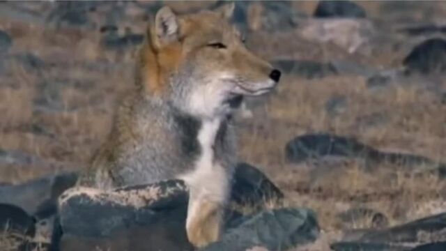 Порнуха №162621 - 2pornuha.com