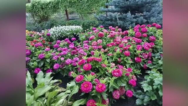 Порнуха №7177 - 2pornuha.com