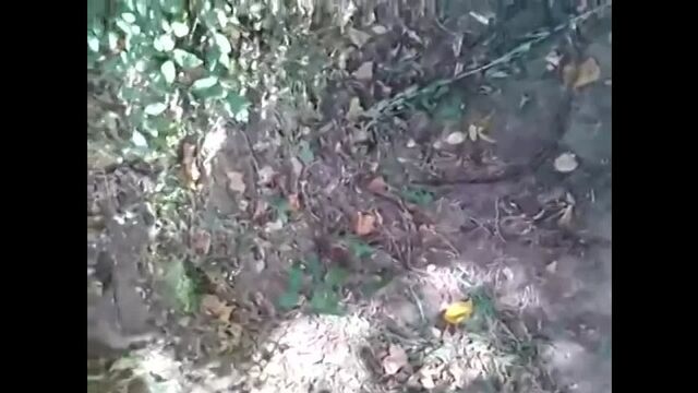 Порнуха №32426 - 2pornuha.com