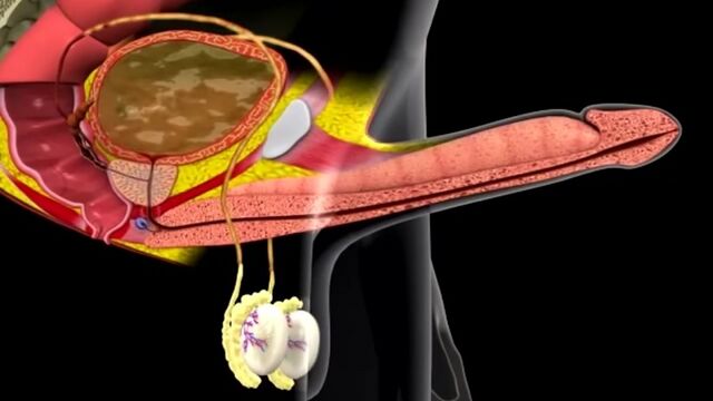 Порнуха №37578 - 2pornuha.com