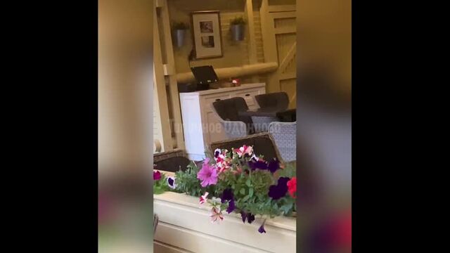 Порнуха №87217 - 2pornuha.com