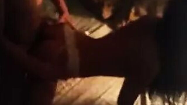 Порнуха №211004 - 2pornuha.com