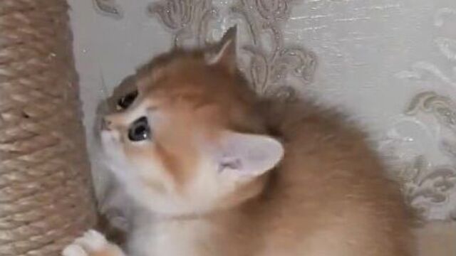 Порнуха №73672 - 2pornuha.com