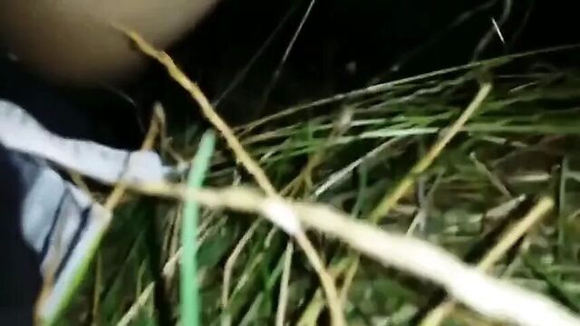 Порнуха №406979 - 2pornuha.com