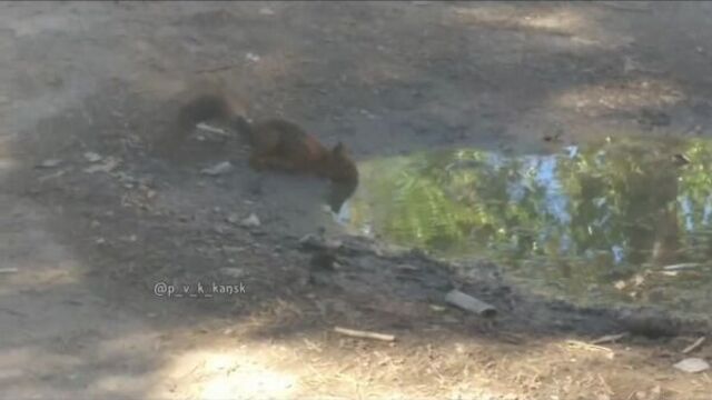 Порнуха №129836 - 2pornuha.com