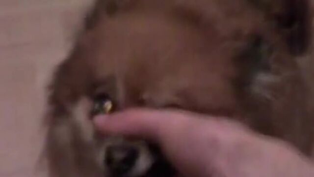 Порнуха №13479 - 2pornuha.com