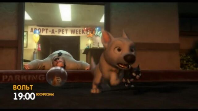 Порнуха №164941 - 2pornuha.com