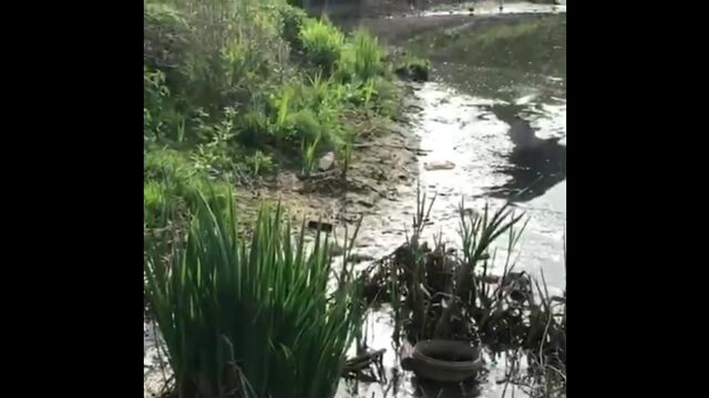 Порнуха №85122 - 2pornuha.com