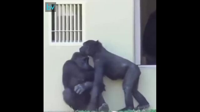 Порнуха №63302 - 2pornuha.com