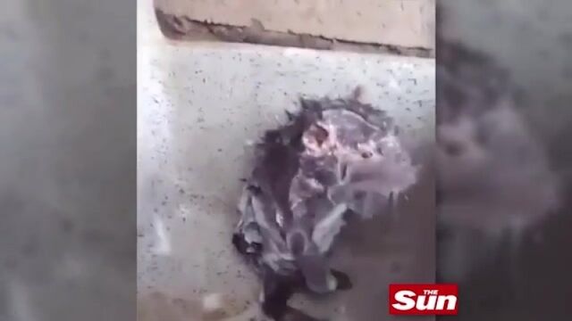 Порнуха №228474 - 2pornuha.com