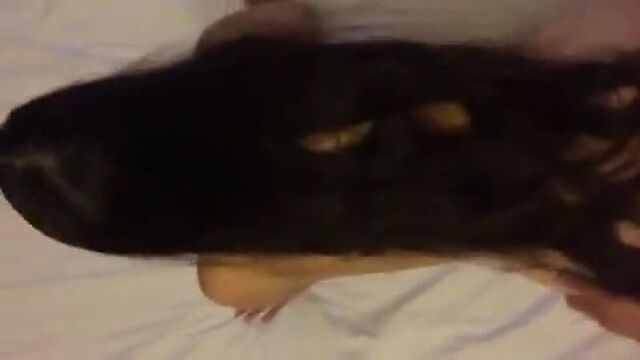 Порнуха №381300 - 2pornuha.com