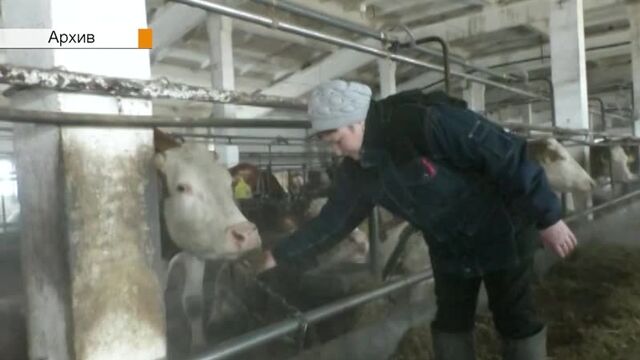 Порнуха №69634 - 2pornuha.com